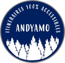 logo andyamo